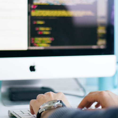 WordPress Web Development