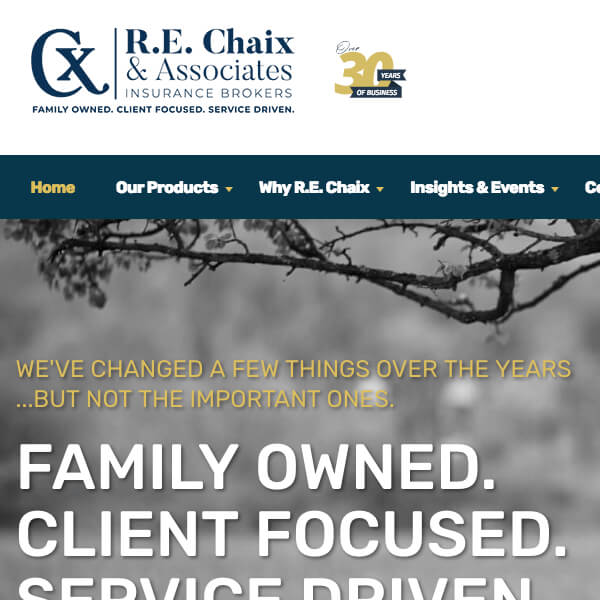 Wordpress site for an Insurance company project thumbnail